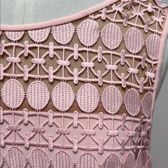 Elegant Pink Lace Dress - Picture 5 of 6